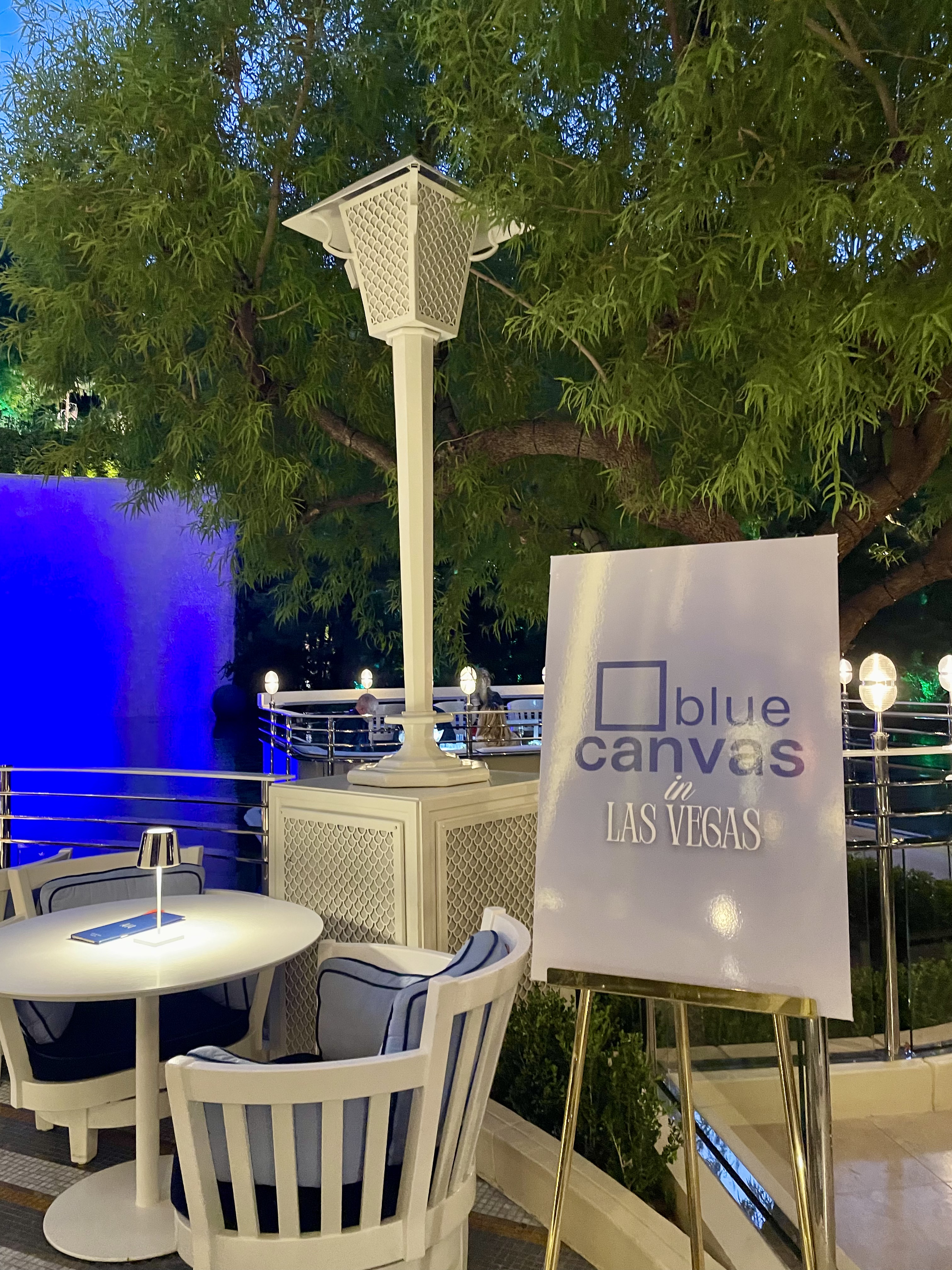 Bluecanvas team